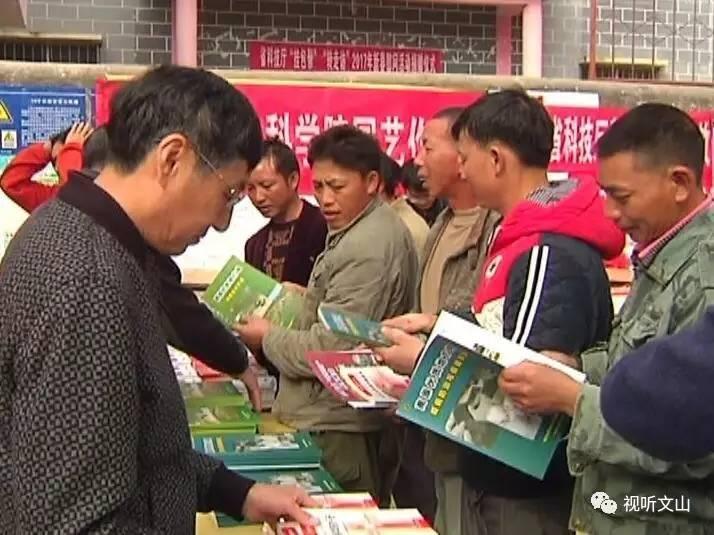 澳门一肖一码一中免费资源精选解析、解释与落实、精准解答解释落实